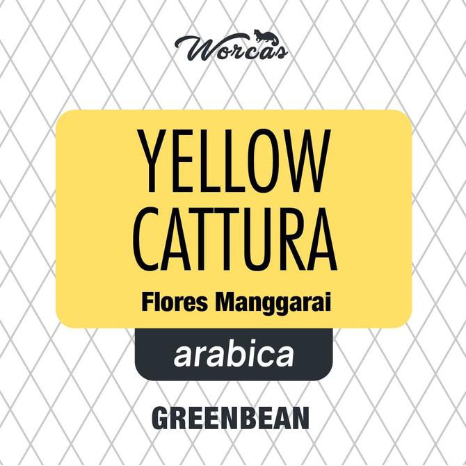 

Green Bean Arabica Flores Manggarai Yellow Caturra 1Kg