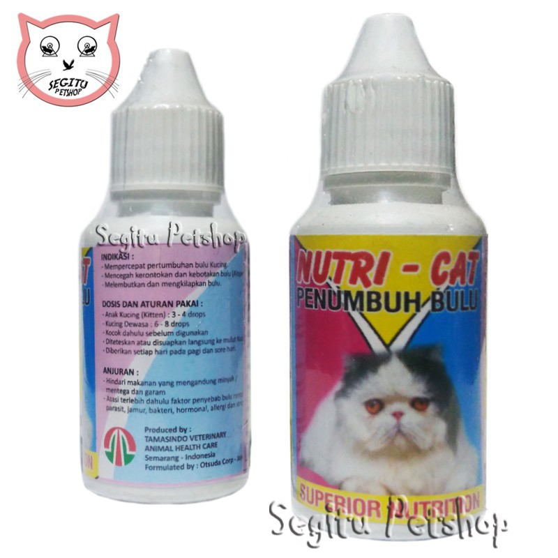 Vitamin Penumbuh Bulu Kucing