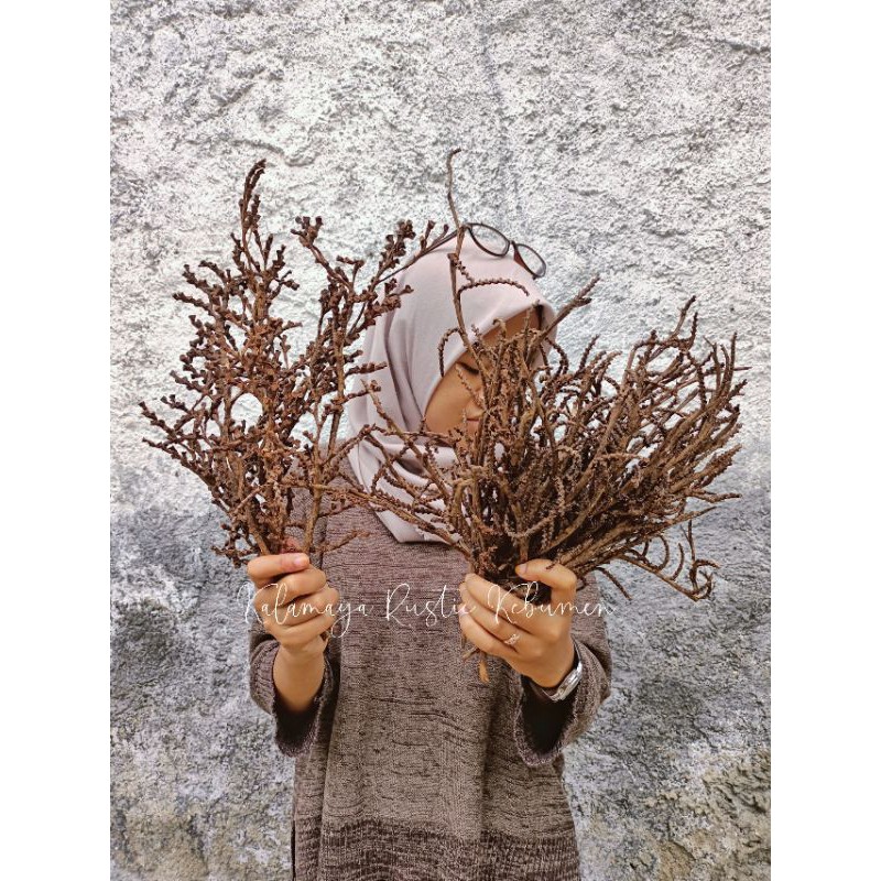 Ranting Rusa Dekorasi Rustic Buket Bunga Kering Mahar Terrarium Ring Bearer Biji Rotan Estetik Shopee Indonesia