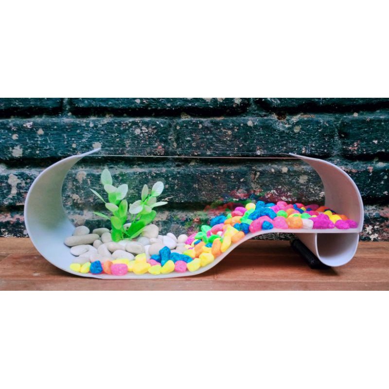 aquarium mini unik kura kuya,ikan cupang,ikan hias kecil kekinian