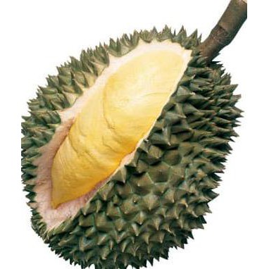 Unduh 570 Koleksi Gambar Durian Sukun Terbaru HD