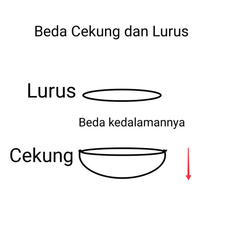 Saringan ikan ( permanen )