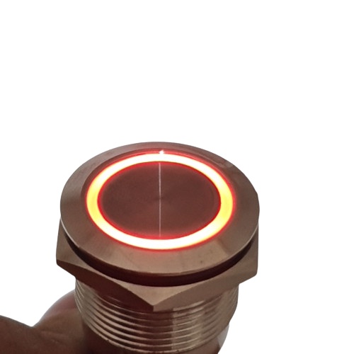 Switch Metal 19mm Push On 5 Pin Saklar Lampu Stainless 19 mm LED Tombol 12v 24v Momentary