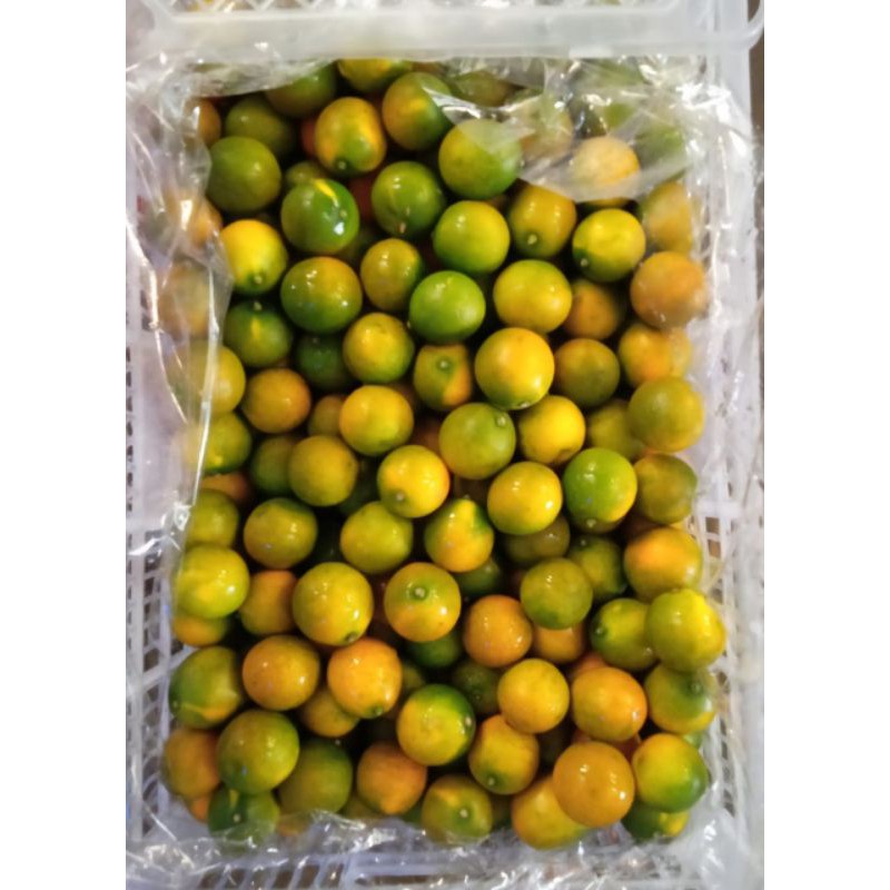 

Buah Jeruk Santang Madu Perkeranjang