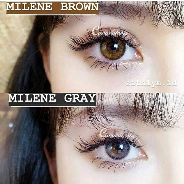 Softlens milene grey/brown