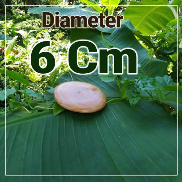 Tatakan kayu 6 Cm Sisi bulat / cembung Wooden Coaster bahan craft deko