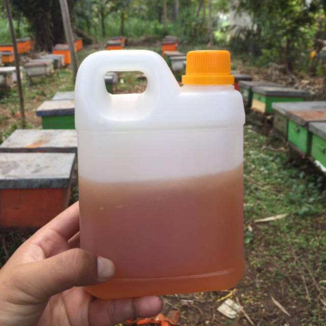 

MADU CAIR ASLI MURNI MULTIFLORA 1 KG