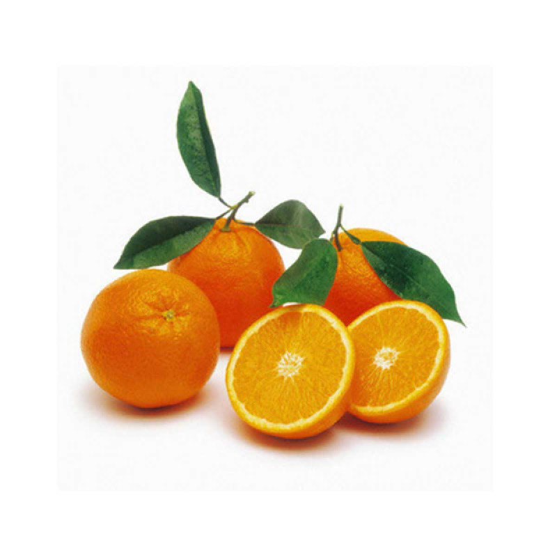 

Jeruk Valencia Mesir Import