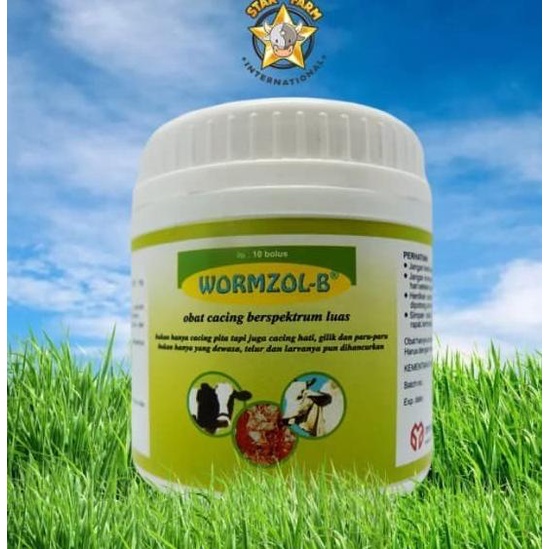 populer] Wormzol-B 10 Bolus