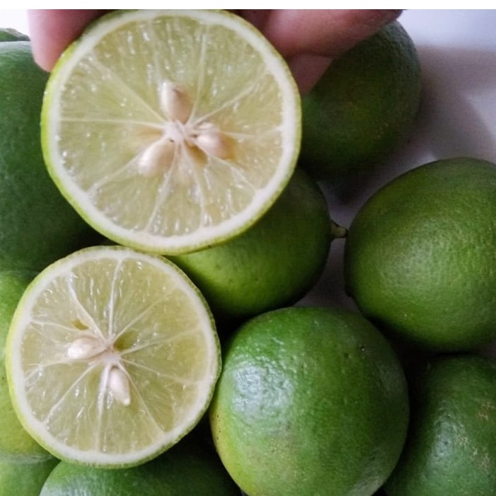 Jeruk Nipis Segar | Fresh Lime