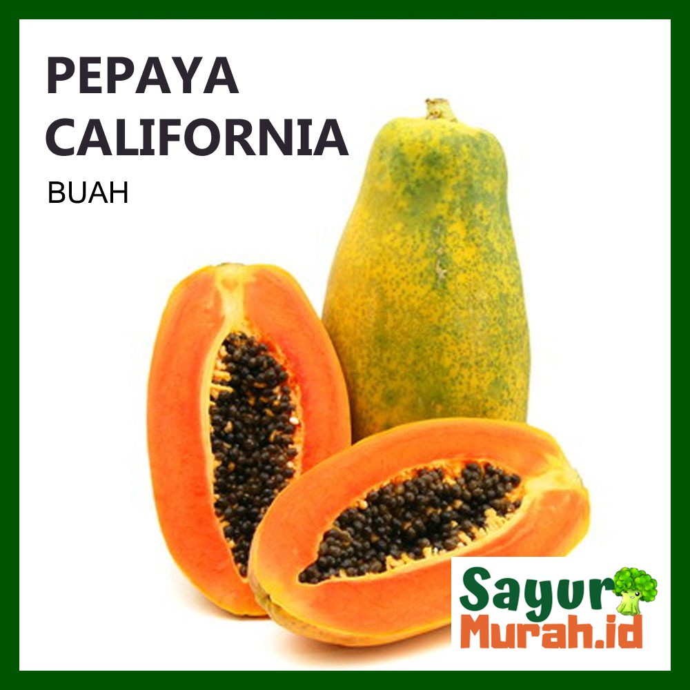 

BUAH PEPAYA CALIFORNIA [1 Buah]