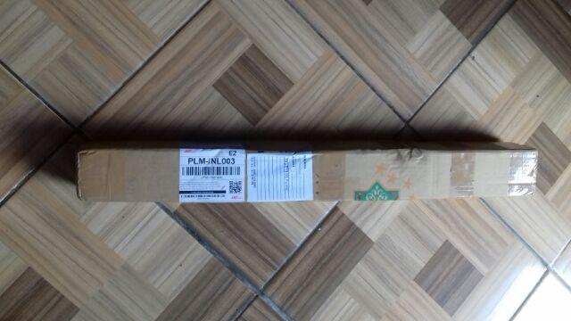 Paket 3 Bibit Mangga Kiojai Supermurah