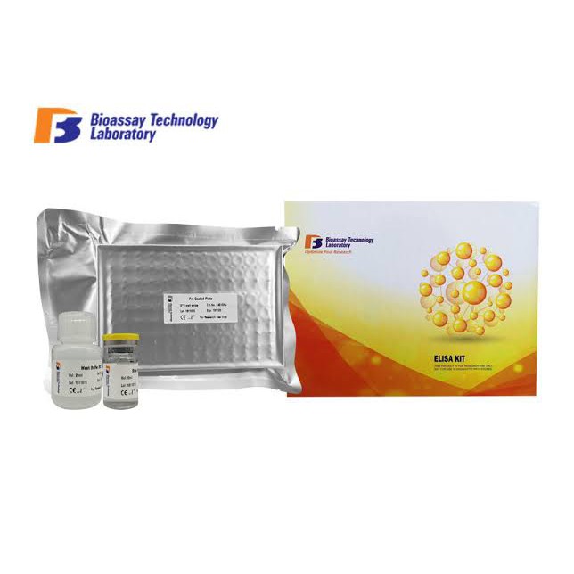 

Rat Caspase 3 ELISA kit