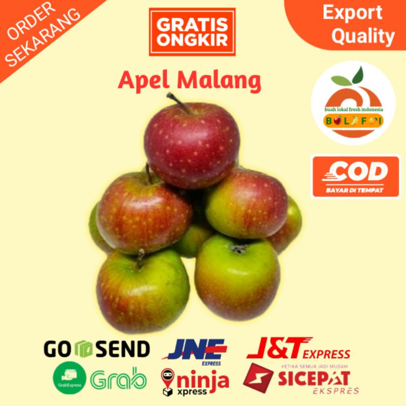 

BUAH APEL MALANG LOKAL SEGAR ASAM MANIS GREAD A