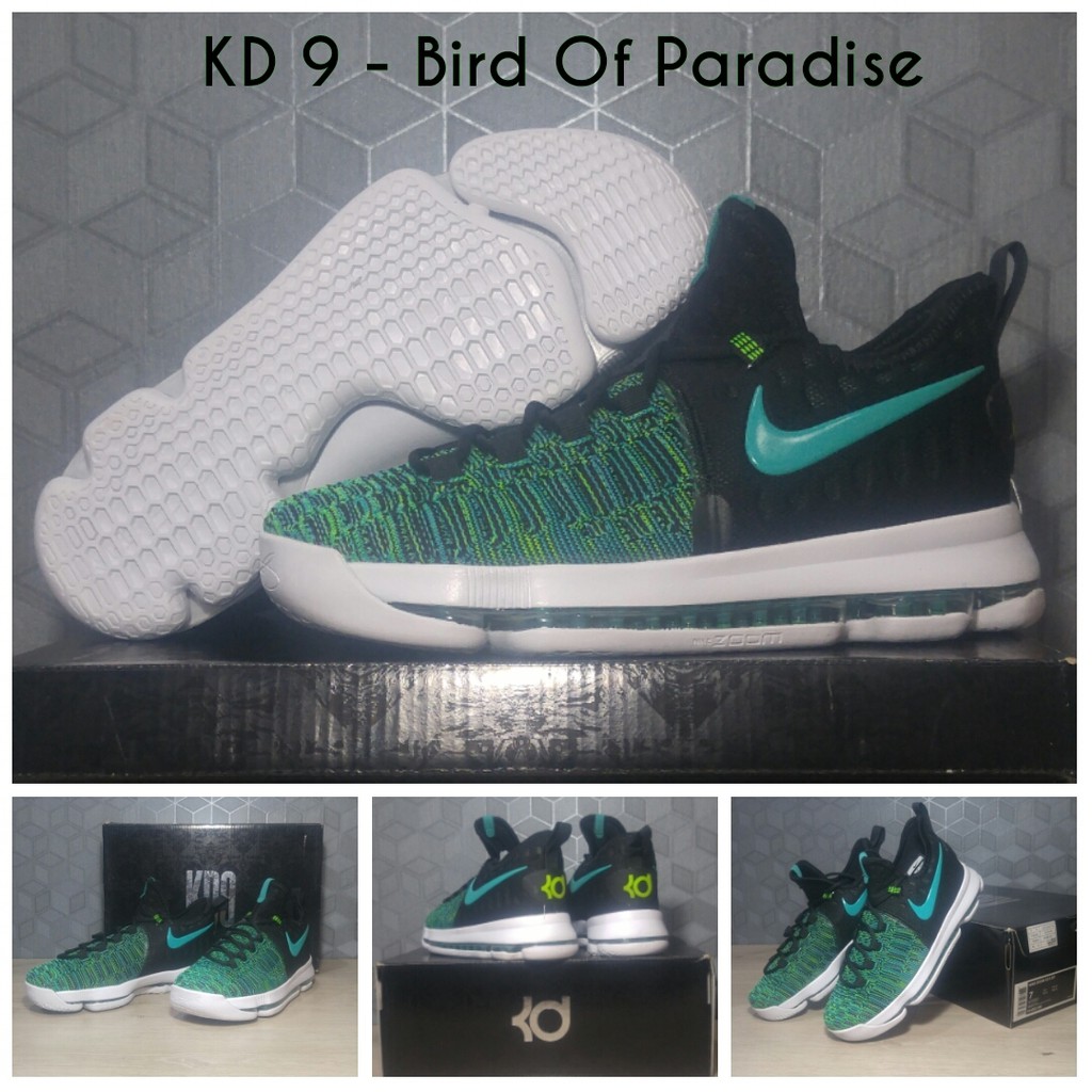 Sepatu Basket Kuliah(FREE KAOS KAKI) Sepatu Basket Nike kevin durant KD 9 bird of paradise