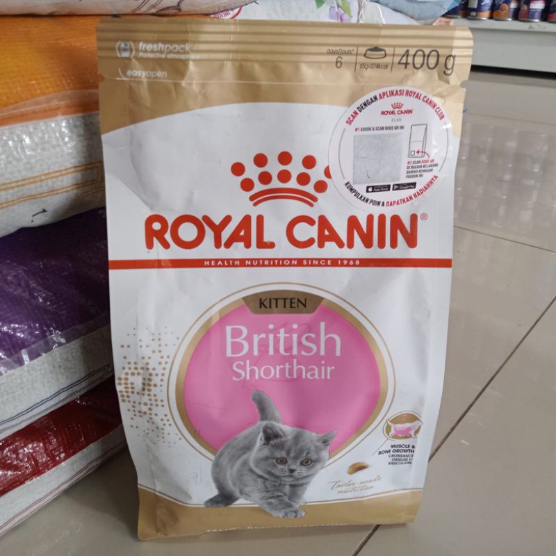 Royal Canin Kitten British Shorthair 400GR | rc canin kitten british shorthair