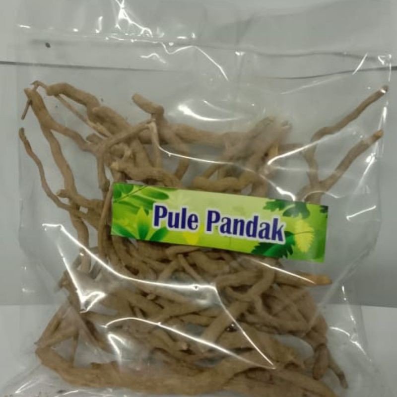 

Pule pandak