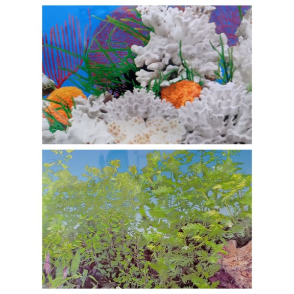 Background Aquarium tinggi 30cm,40cm,50cm,60cm per roll