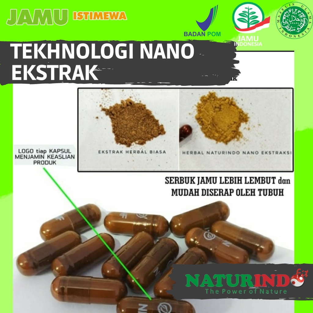 NATURINDO Obat Herbal Gurah Paru Paru Batuk Menahun Anosmia Sinusitis Asma Sesak Nafas Radang Tenggorokan Bron C Fit 40 KAPSUL-4