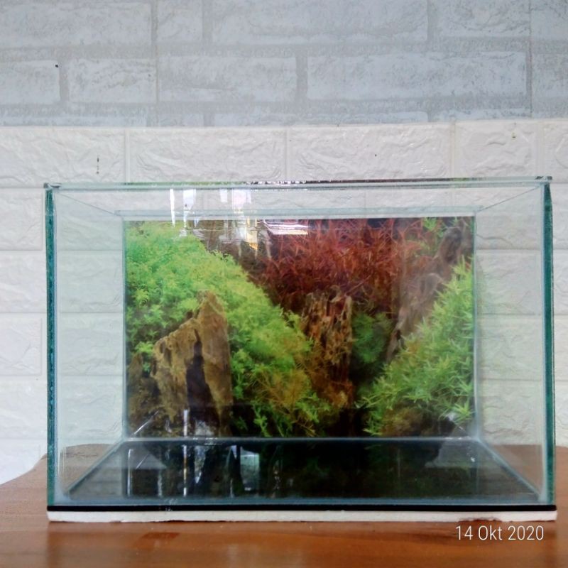 Aquarium Akuarium Guppy Cupang Ikan Hias Kaca Ukuran 40 murah