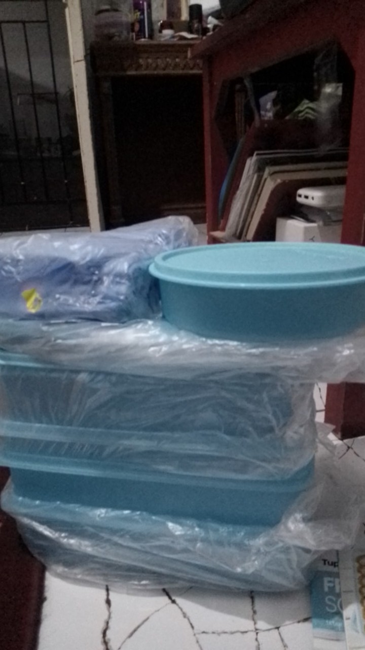 Freshia Coll Tanpa Free