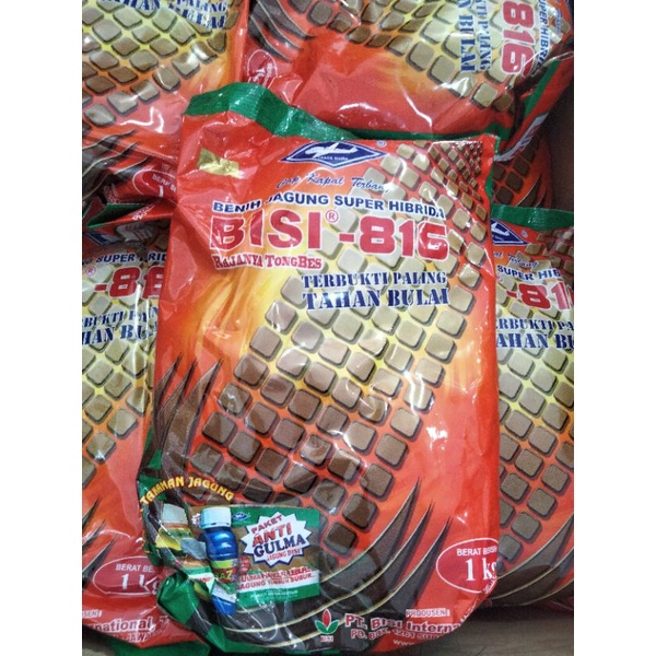 Benih jagung  Bisi 816 (1kg)