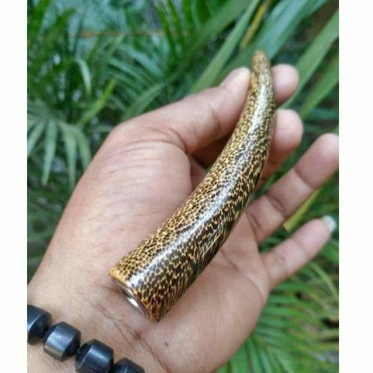 ONCE LIWUNG ASLI/ONCE KAYU LIWUNG MACAN 12CM/ONCE KAYU LANGKA