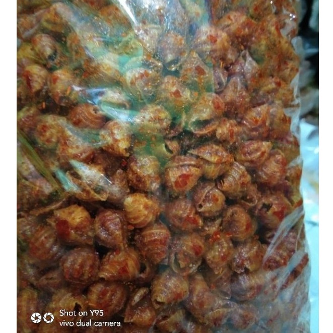 MAKARONI KERANG RENYAH DAUN JERUK jumbo 1Kg