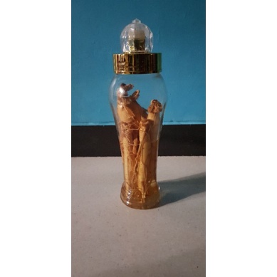 

ginseng asli korea