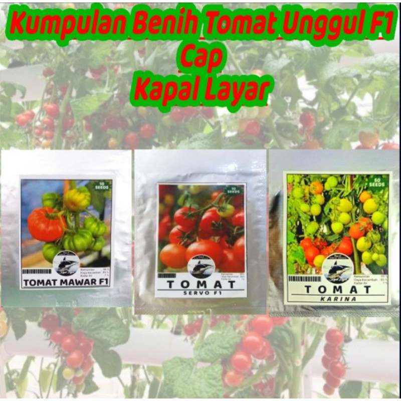KUMPULAN 20 JENIS BENIH SAYURAN UNGGUL F1 