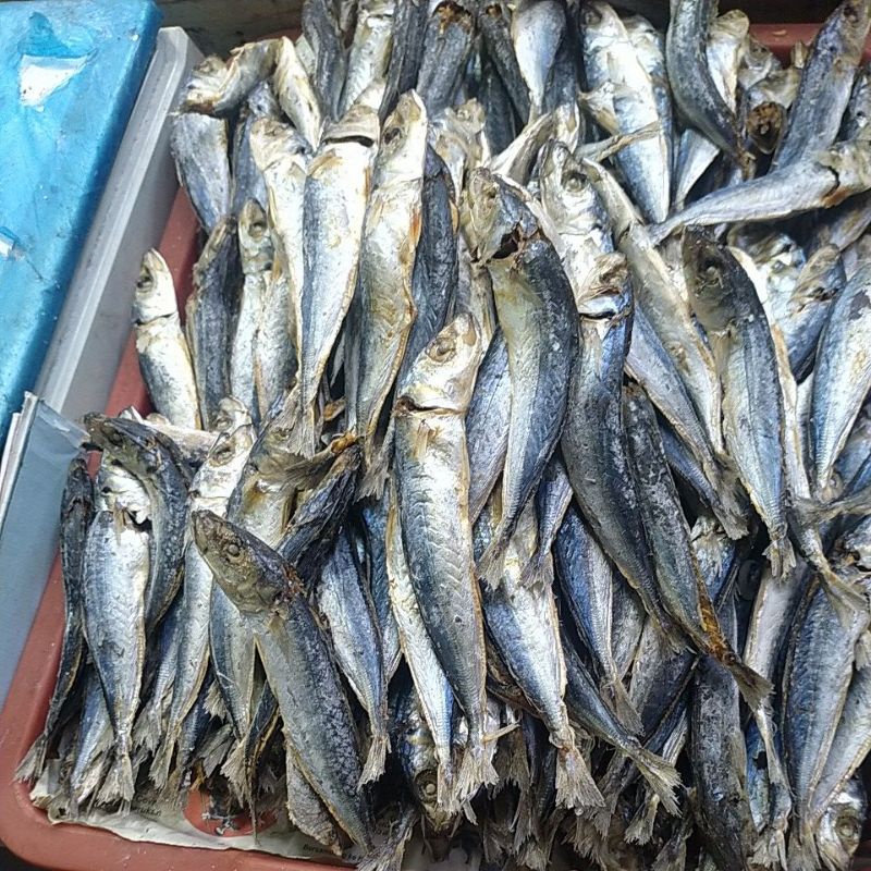 

ikan layang rebus medan 500gr