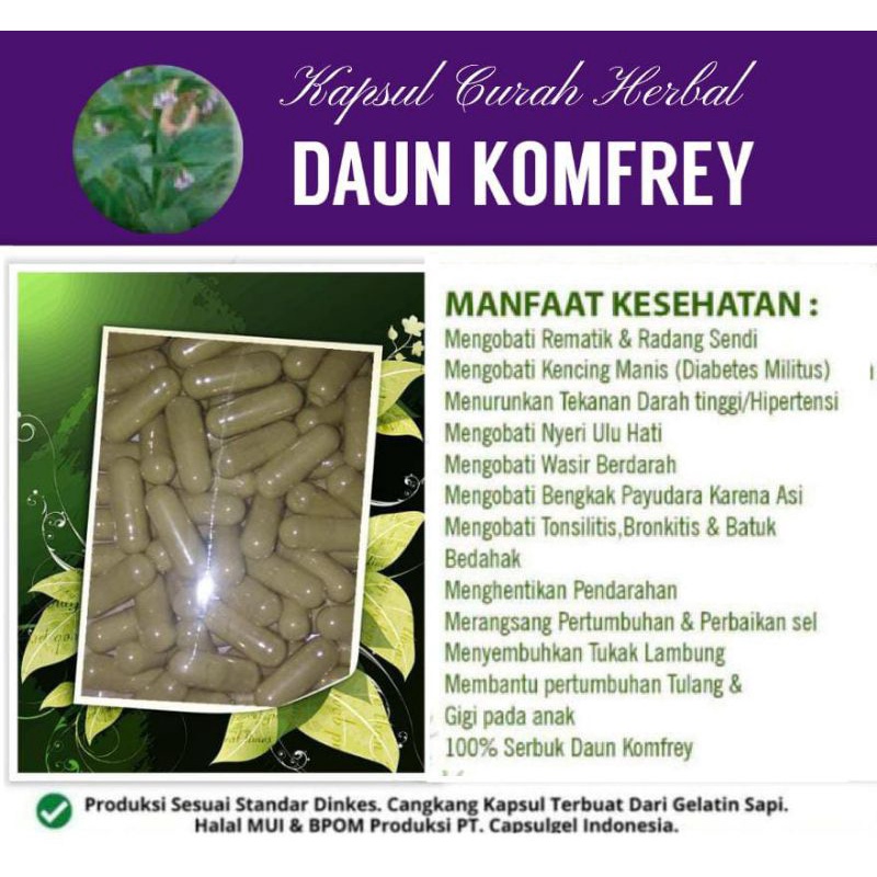 

Daun Komfrey 100 kapsul Curah Herbal hipertensi