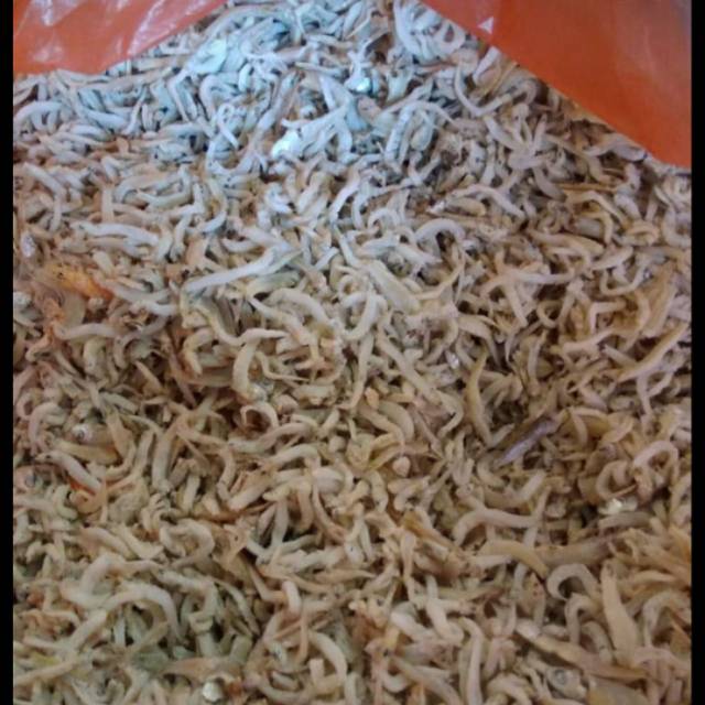 

Ikan teri medan