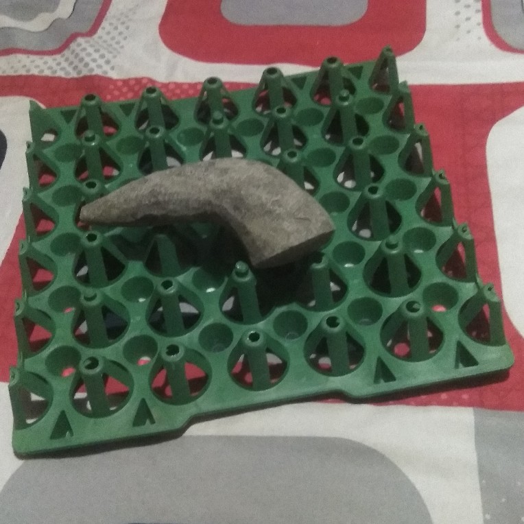 Tempat Telur Plastik Rak Telur Egg Tray Isi 30 Grade Biasa