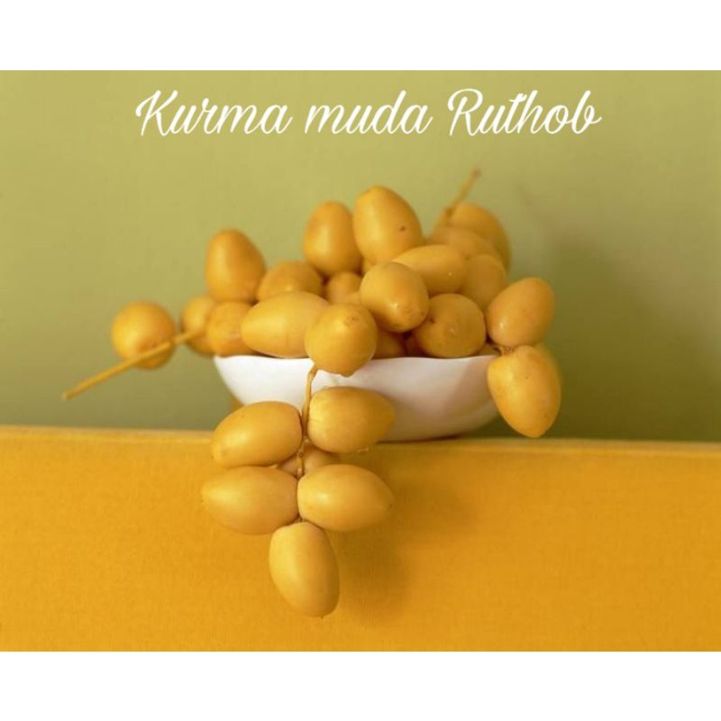 

kurma muda ruthob