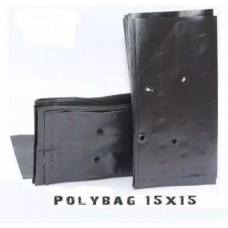 Polybag 15X15 isi 10