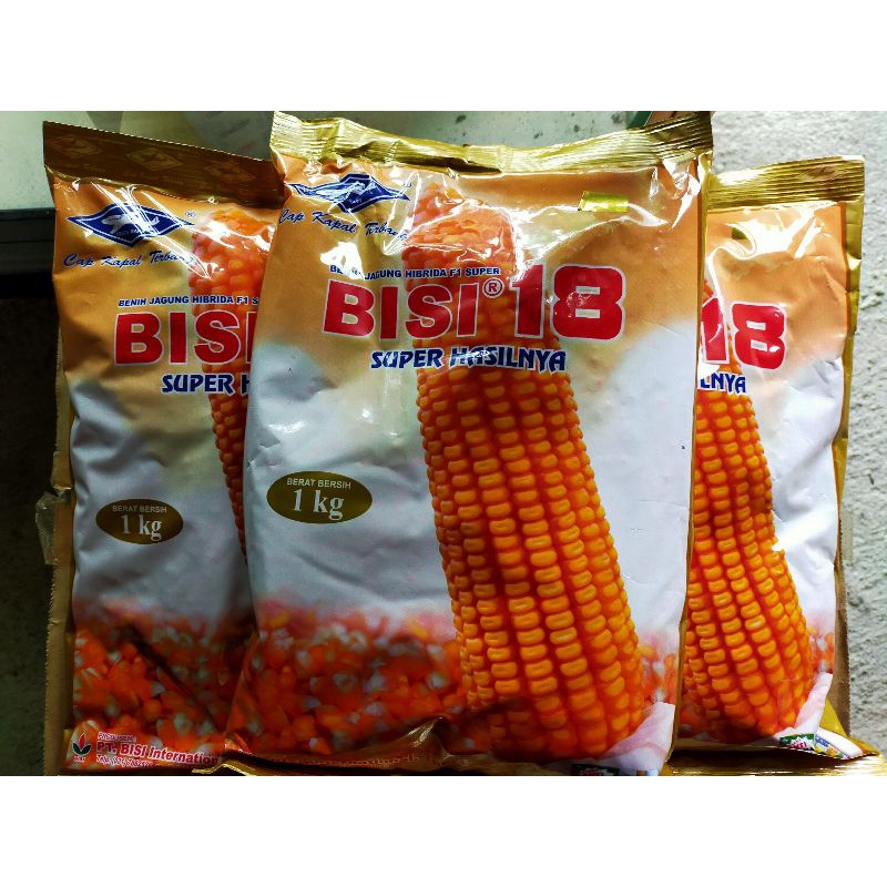 Benih jagung hibrida Bisi 18