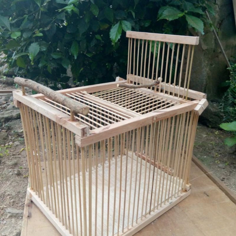 Sangkar jebakan otomatis burung kutilang atau burcil