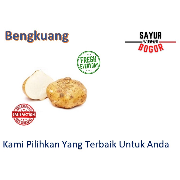 

Bengkuang / Bengkoang / Buah Bengkuang