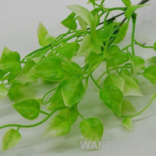 WANFLOWER Daun X5 * ALL