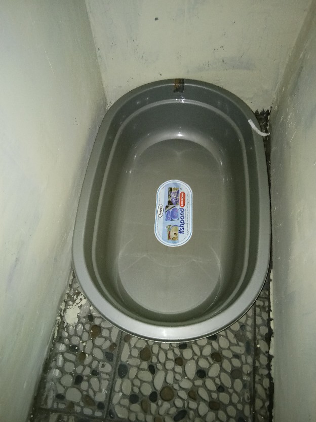 Fishpond M | Kolam Ikan Plastik | Bak Aquarium Ikan