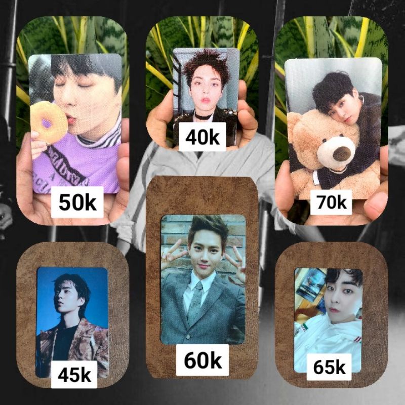 photocard exo xiumin tedy bear tempo universe dftf growl suho