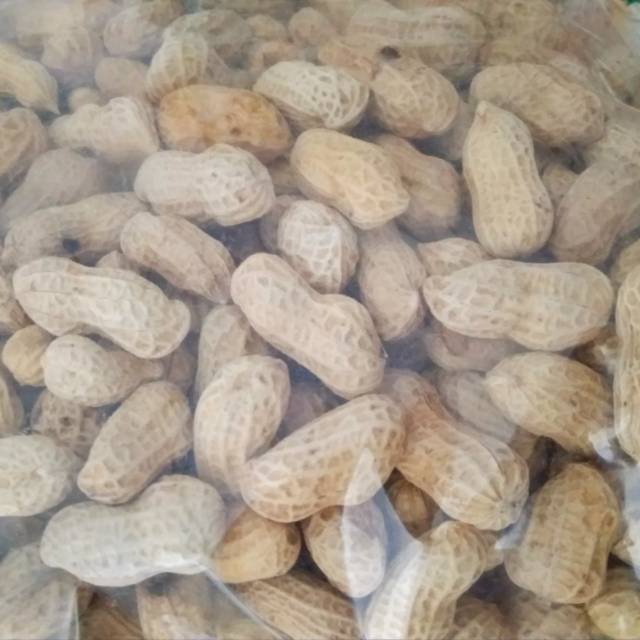 

Kacang Kulit Oven Kiloan 500 Gram