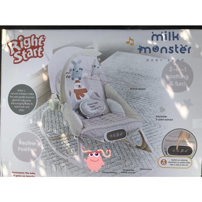 Right Start Newborn To Toddler Portable Rocker/ Baby Bouncer