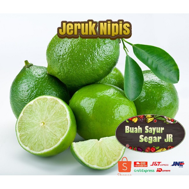 

JERUK NIPIS