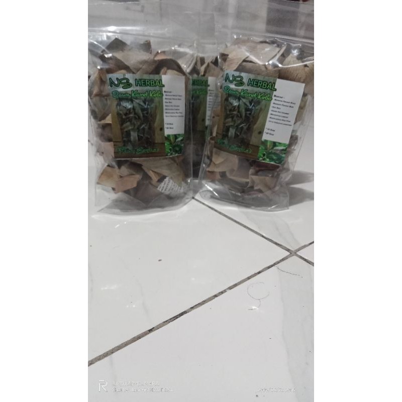 daun ekstrak karet kebo obat alami herbal stroke hipertensi maag lambung bisul