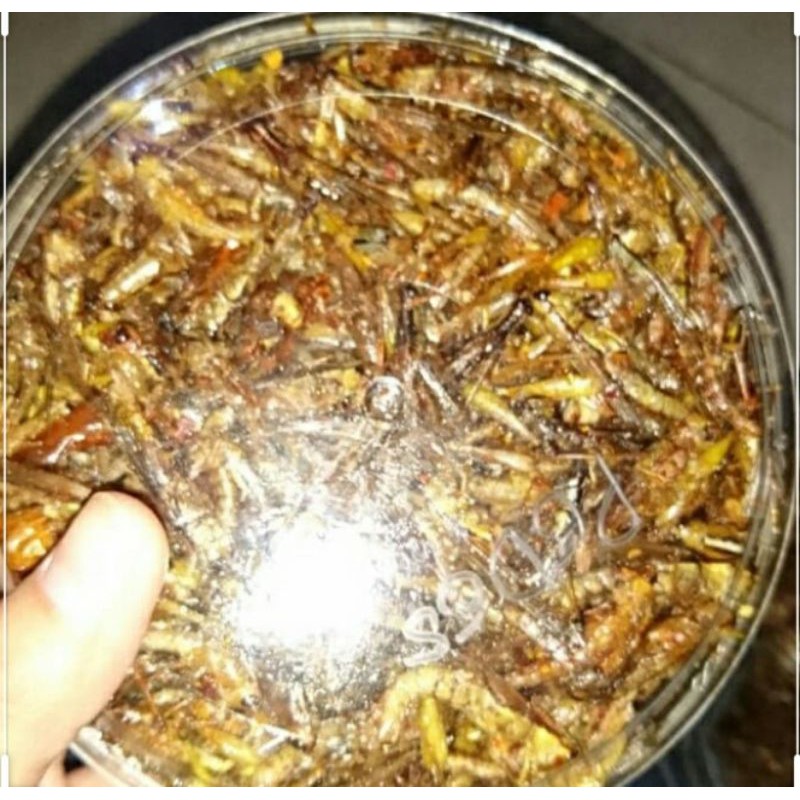 

belalang goreng manyus