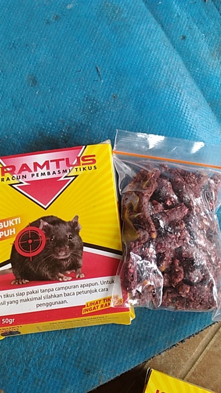 Racun Tikus Ramtus Asli Alami Mati Kering Tidak Bau Pembasmi Pengusir Tikus Super Paling Ampuh 1pack
