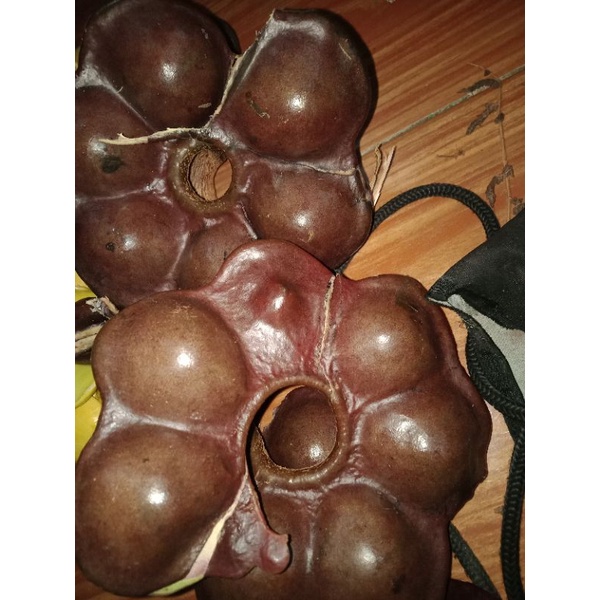 

jengkol muda 1 kg berkualitas