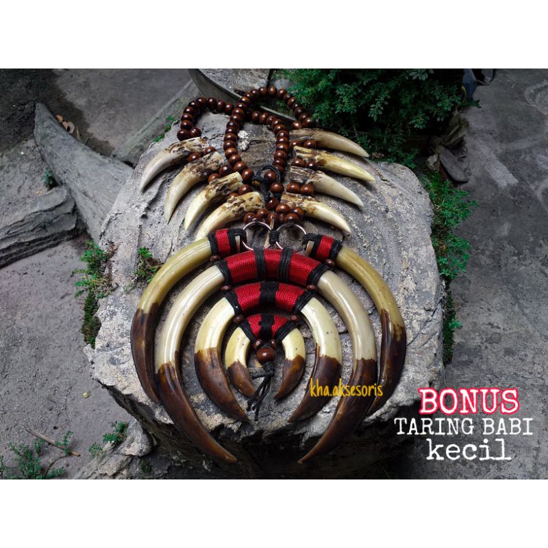 Kalung Etnik Dayak Taring Babi Hutan